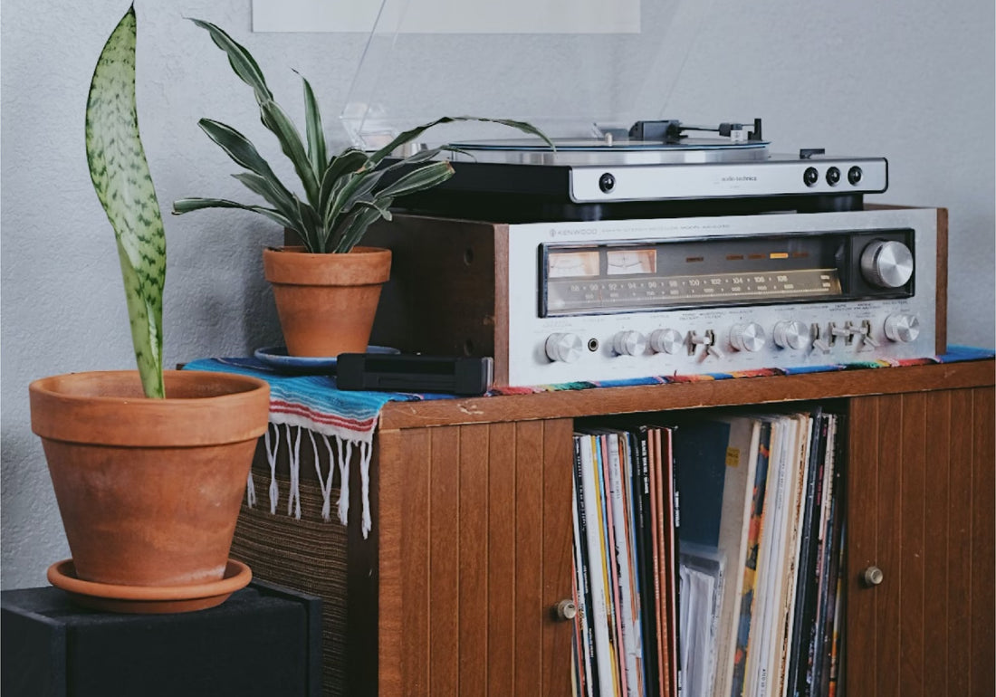 Collection of Vinyl Players