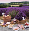 Picnic in lavender!