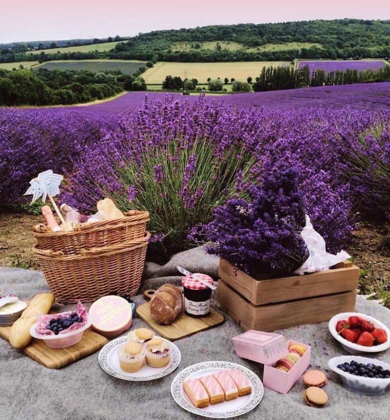 Picnic in lavender!