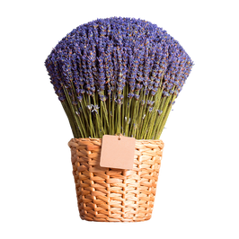 Lavender In A Wicker Basket