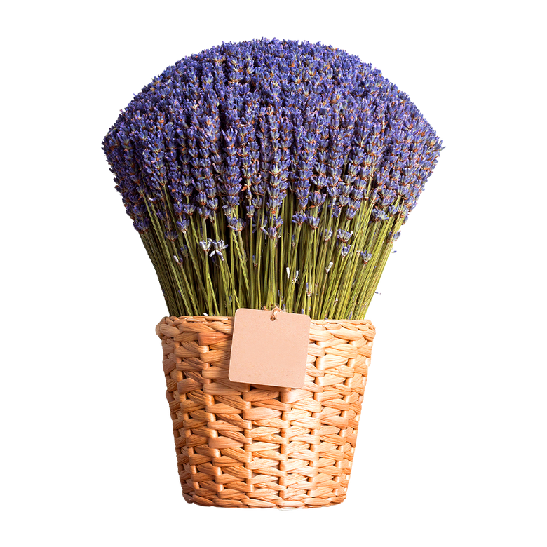 Lavender In A Wicker Basket